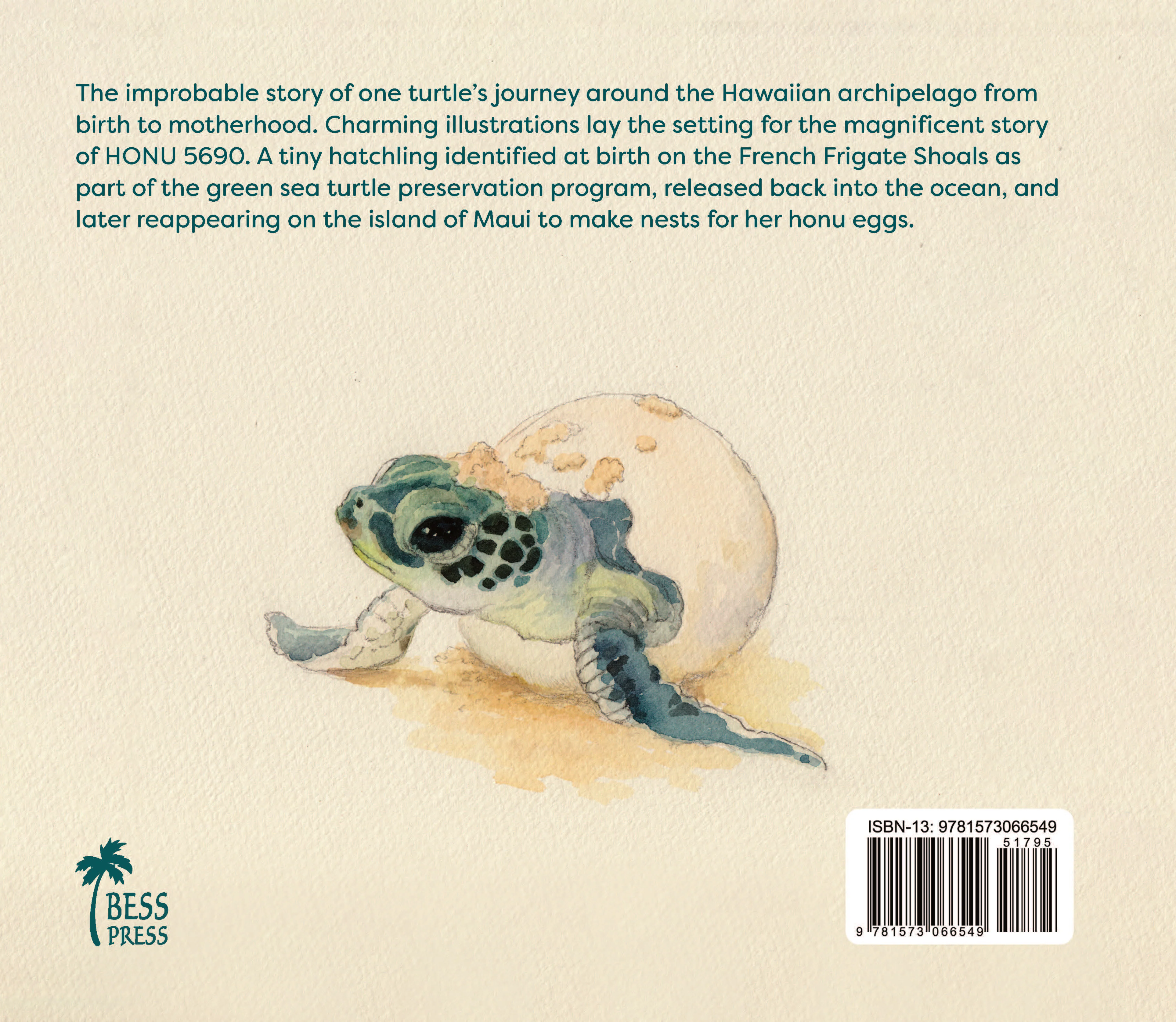 Honu 5690 - Image 2