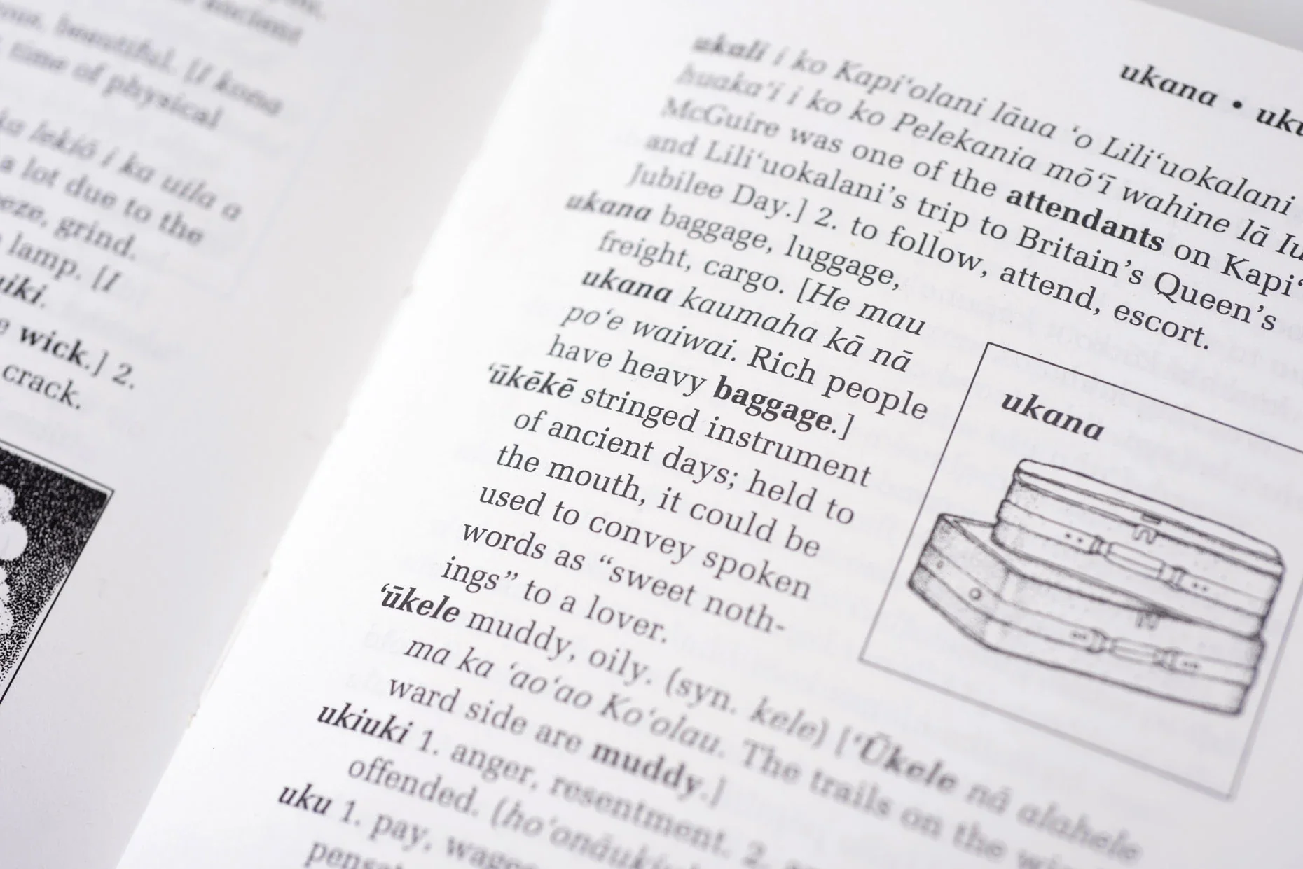 Illustrated Hawaiian Dictionary - Image 7