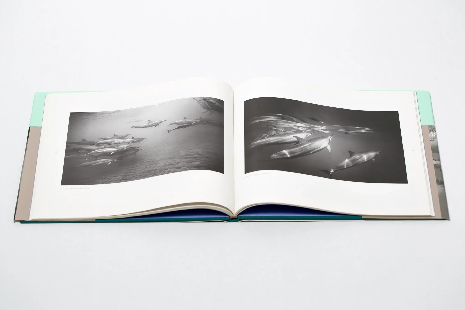 Through A Liquid Mirror - Image 2
